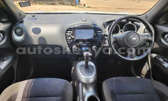 Buy Used Nissan Juke White Car in Bute in Northeast Kenya Buy Used Nissan Juke White Car in Bute in Northeast Kenya