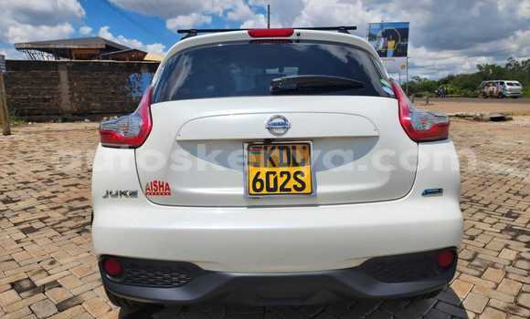 Buy Used Nissan Juke White Car in Bute in Northeast Kenya Buy Used Nissan Juke White Car in Bute in Northeast Kenya
