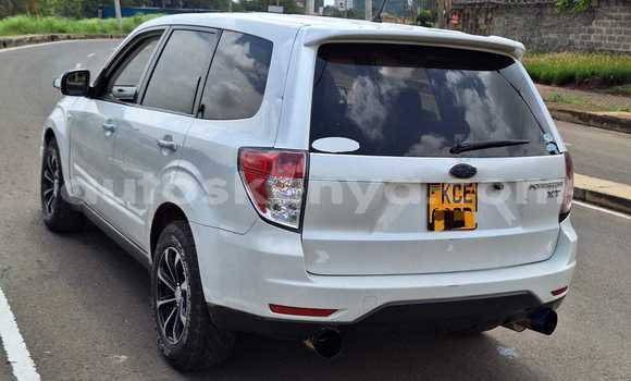 Buy Used Subaru Forester White Car in Bute in Northeast Kenya Buy Used Subaru Forester White Car in Bute in Northeast Kenya