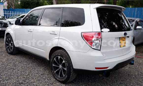 Buy Used Subaru Forester White Car in Bute in Northeast Kenya Buy Used Subaru Forester White Car in Bute in Northeast Kenya