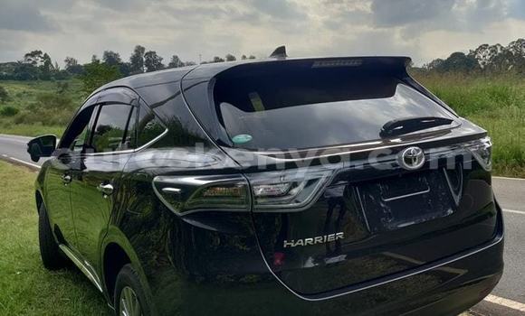 Nunua Ilio tumika Toyota Harrier Nyeusi Gari ndani ya Busia nchini West Kenya Nunua Ilio tumika Toyota Harrier Nyeusi Gari ndani ya Busia nchini West Kenya
