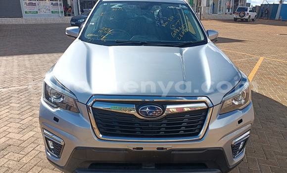 Nunua Ilio tumika Subaru Forester Nyingine Gari ndani ya Busia nchini West Kenya