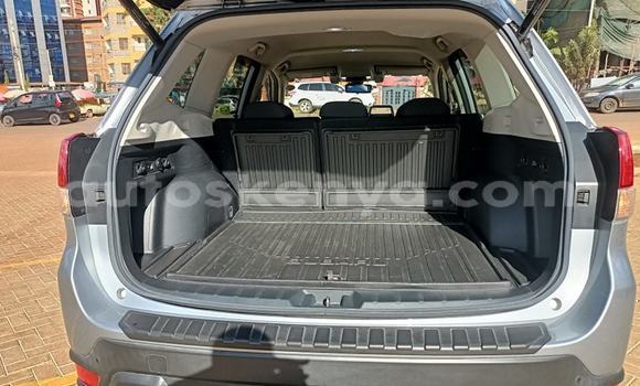 Nunua Ilio tumika Subaru Forester Nyingine Gari ndani ya Busia nchini West Kenya Nunua Ilio tumika Subaru Forester Nyingine Gari ndani ya Busia nchini West Kenya