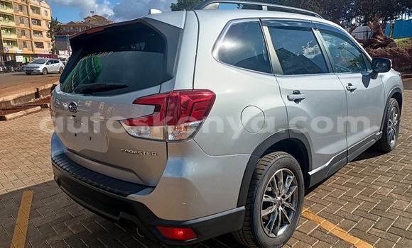 Nunua Ilio tumika Subaru Forester Nyingine Gari ndani ya Busia nchini West Kenya Nunua Ilio tumika Subaru Forester Nyingine Gari ndani ya Busia nchini West Kenya