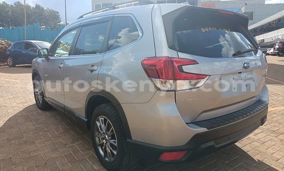 Nunua Ilio tumika Subaru Forester Nyingine Gari ndani ya Busia nchini West Kenya Nunua Ilio tumika Subaru Forester Nyingine Gari ndani ya Busia nchini West Kenya