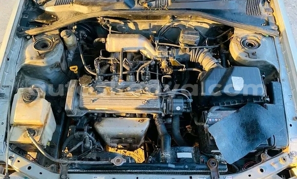 Buy Used Toyota Carina Other Car in Bute in Northeast Kenya Buy Used Toyota Carina Other Car in Bute in Northeast Kenya