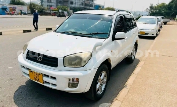 Oofamaa Toyota RAV4 White Makiinaa iti Busia keessatti West Kenya keessatti Oofamaa Toyota RAV4 White Makiinaa iti Busia keessatti West Kenya keessatti