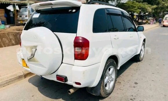 Oofamaa Toyota RAV4 White Makiinaa iti Busia keessatti West Kenya keessatti Oofamaa Toyota RAV4 White Makiinaa iti Busia keessatti West Kenya keessatti