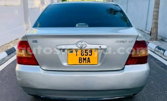 Buy Used Toyota Corolla Other Car in Busia in West Kenya