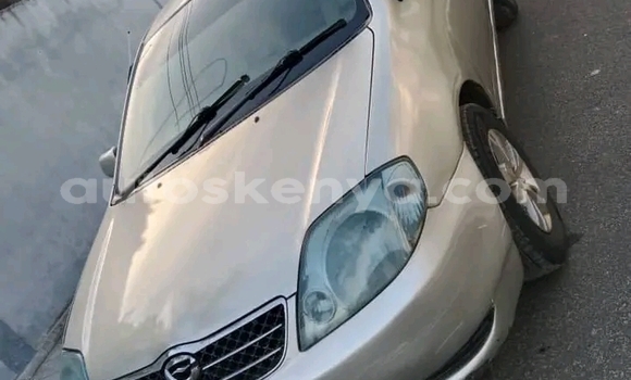 Oofamaa Toyota Corolla Other Makiinaa iti Busia keessatti West Kenya keessatti Oofamaa Toyota Corolla Other Makiinaa iti Busia keessatti West Kenya keessatti