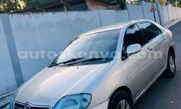 Oofamaa Toyota Corolla Other Makiinaa iti Busia keessatti West Kenya keessatti Oofamaa Toyota Corolla Other Makiinaa iti Busia keessatti West Kenya keessatti