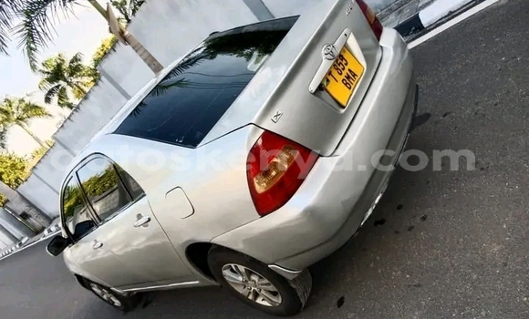 Oofamaa Toyota Corolla Other Makiinaa iti Busia keessatti West Kenya keessatti Oofamaa Toyota Corolla Other Makiinaa iti Busia keessatti West Kenya keessatti