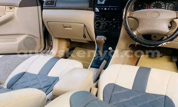 Oofamaa Toyota Corolla Other Makiinaa iti Busia keessatti West Kenya keessatti Oofamaa Toyota Corolla Other Makiinaa iti Busia keessatti West Kenya keessatti