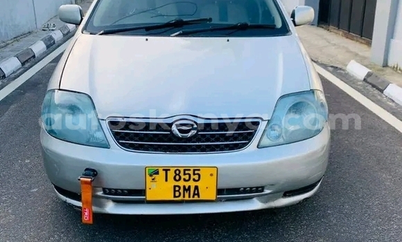 Oofamaa Toyota Corolla Other Makiinaa iti Busia keessatti West Kenya keessatti Oofamaa Toyota Corolla Other Makiinaa iti Busia keessatti West Kenya keessatti