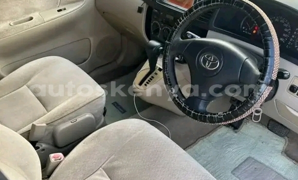 Nunua Ilio tumika Toyota Spacio Nyingine Gari ndani ya Bute nchini Kaskazini Mashariki mwa Kenya