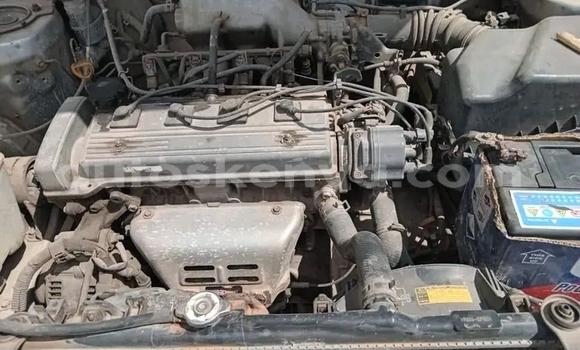 Buy Used Toyota Carina Other Car in Bute in Northeast Kenya Buy Used Toyota Carina Other Car in Bute in Northeast Kenya