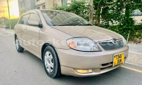 Oofamaa Toyota Corolla Other Makiinaa iti Changamwe keessatti Coast keessatti Oofamaa Toyota Corolla Other Makiinaa iti Changamwe keessatti Coast keessatti