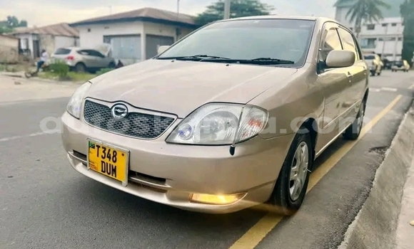 Oofamaa Toyota Corolla Other Makiinaa iti Changamwe keessatti Coast keessatti Oofamaa Toyota Corolla Other Makiinaa iti Changamwe keessatti Coast keessatti