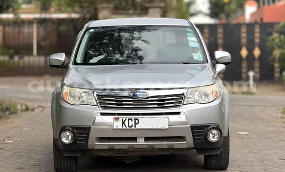 すばる TOYOTA Land Cruiser ZX | Japanese used Vehicles exporter Tomisho