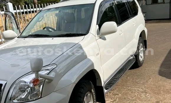Buy Used Toyota Prado Other Car in Bute in Northeast Kenya Buy Used Toyota Prado Other Car in Bute in Northeast Kenya