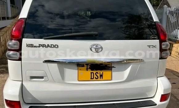Buy Used Toyota Prado Other Car in Bute in Northeast Kenya Buy Used Toyota Prado Other Car in Bute in Northeast Kenya