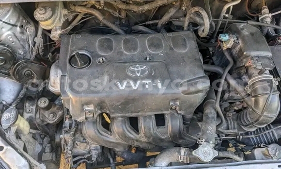 Nunua Ilio tumika Toyota Vitz Nyingine Gari ndani ya Bute nchini Kaskazini Mashariki mwa Kenya Nunua Ilio tumika Toyota Vitz Nyingine Gari ndani ya Bute nchini Kaskazini Mashariki mwa Kenya