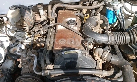 Nunua Ilio tumika Toyota Pickup Nyingine Gari ndani ya Bute nchini Kaskazini Mashariki mwa Kenya Nunua Ilio tumika Toyota Pickup Nyingine Gari ndani ya Bute nchini Kaskazini Mashariki mwa Kenya