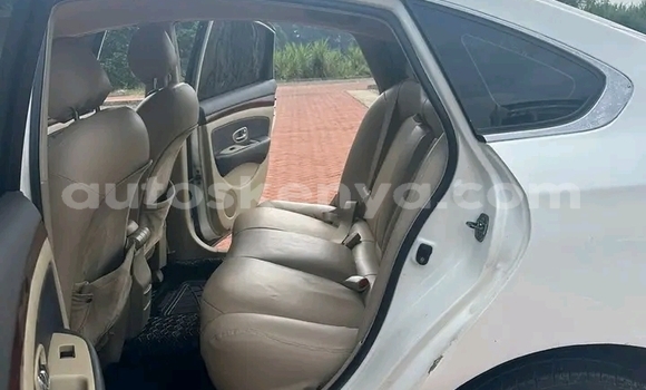 Nunua Ilio tumika Nissan Bluebird Sylphy Nyeupe Gari ndani ya Kangonde nchini Mashariki Nunua Ilio tumika Nissan Bluebird Sylphy Nyeupe Gari ndani ya Kangonde nchini Mashariki