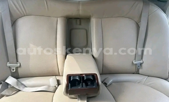 Nunua Ilio tumika Nissan Bluebird Sylphy Nyeupe Gari ndani ya Kangonde nchini Mashariki Nunua Ilio tumika Nissan Bluebird Sylphy Nyeupe Gari ndani ya Kangonde nchini Mashariki