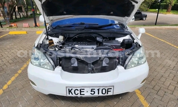 Nunua Ilio tumika Toyota Harrier Nyeupe Gari ndani ya Kaloleni nchini Pwani Nunua Ilio tumika Toyota Harrier Nyeupe Gari ndani ya Kaloleni nchini Pwani