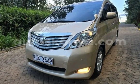 Nunua Ilio tumika Toyota Alphard Nyingine Gari ndani ya Bute nchini Kaskazini Mashariki mwa Kenya Nunua Ilio tumika Toyota Alphard Nyingine Gari ndani ya Bute nchini Kaskazini Mashariki mwa Kenya