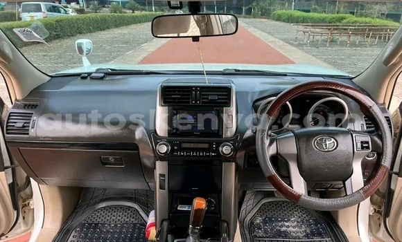 Nunua Ilio tumika Toyota Prado Nyeupe Gari ndani ya Bura nchini Kaskazini Mashariki mwa Kenya Nunua Ilio tumika Toyota Prado Nyeupe Gari ndani ya Bura nchini Kaskazini Mashariki mwa Kenya