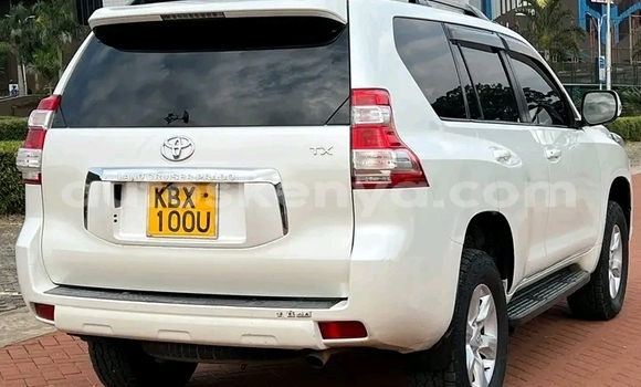 Nunua Ilio tumika Toyota Prado Nyeupe Gari ndani ya Bura nchini Kaskazini Mashariki mwa Kenya Nunua Ilio tumika Toyota Prado Nyeupe Gari ndani ya Bura nchini Kaskazini Mashariki mwa Kenya