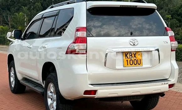 Nunua Ilio tumika Toyota Prado Nyeupe Gari ndani ya Bura nchini Kaskazini Mashariki mwa Kenya Nunua Ilio tumika Toyota Prado Nyeupe Gari ndani ya Bura nchini Kaskazini Mashariki mwa Kenya
