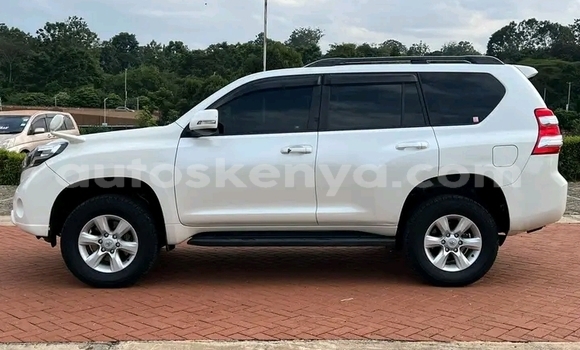 Nunua Ilio tumika Toyota Prado Nyeupe Gari ndani ya Bura nchini Kaskazini Mashariki mwa Kenya Nunua Ilio tumika Toyota Prado Nyeupe Gari ndani ya Bura nchini Kaskazini Mashariki mwa Kenya