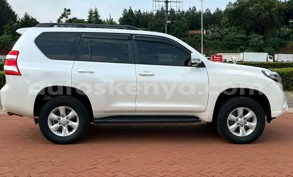 Nunua Ilio tumika Toyota Prado Nyeupe Gari ndani ya Bura nchini Kaskazini Mashariki mwa Kenya Nunua Ilio tumika Toyota Prado Nyeupe Gari ndani ya Bura nchini Kaskazini Mashariki mwa Kenya