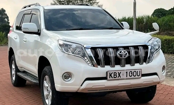 Nunua Ilio tumika Toyota Prado Nyeupe Gari ndani ya Bura nchini Kaskazini Mashariki mwa Kenya Nunua Ilio tumika Toyota Prado Nyeupe Gari ndani ya Bura nchini Kaskazini Mashariki mwa Kenya