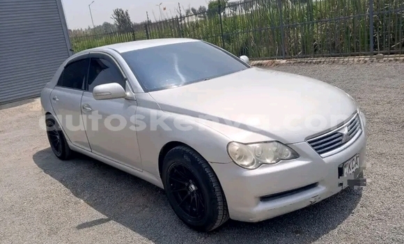 Buy Used Toyota Mark X Other Car in Bute in Northeast Kenya Buy Used Toyota Mark X Other Car in Bute in Northeast Kenya