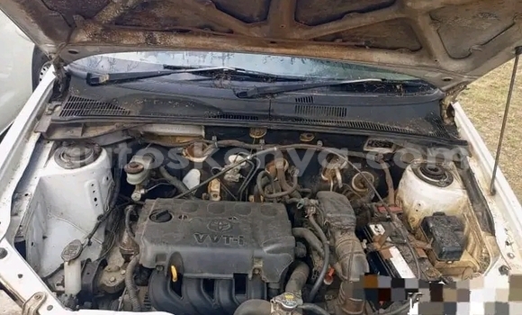 Buy Used Toyota Probox Other Car in Busia in West Kenya Buy Used Toyota Probox Other Car in Busia in West Kenya