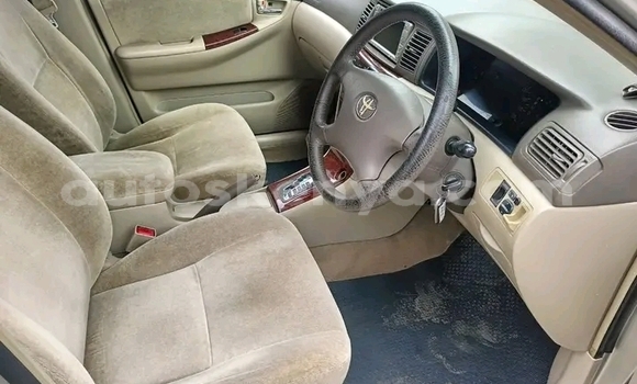 Buy Used Toyota Gaia Other Car in Bute in Northeast Kenya Buy Used Toyota Gaia Other Car in Bute in Northeast Kenya