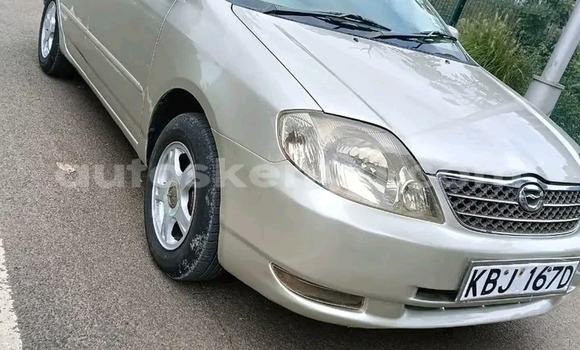 Buy Used Toyota Gaia Other Car in Bute in Northeast Kenya Buy Used Toyota Gaia Other Car in Bute in Northeast Kenya
