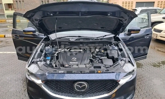 Buy Used Mazda CX-5 Black Car in Bute in Northeast Kenya Buy Used Mazda CX-5 Black Car in Bute in Northeast Kenya