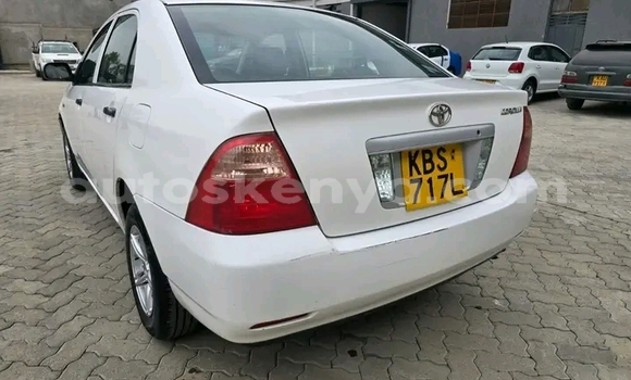 Buy Used Toyota MasterAce Surf White Car in Bute in Northeast Kenya Buy Used Toyota MasterAce Surf White Car in Bute in Northeast Kenya