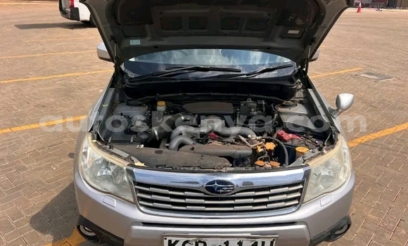 Buy Used Subaru Forester Other Car in Habaswein in Northeast Kenya Buy Used Subaru Forester Other Car in Habaswein in Northeast Kenya