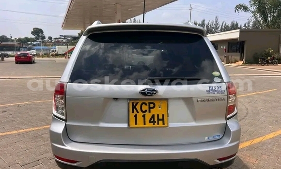 Buy Used Subaru Forester Other Car in Habaswein in Northeast Kenya Buy Used Subaru Forester Other Car in Habaswein in Northeast Kenya
