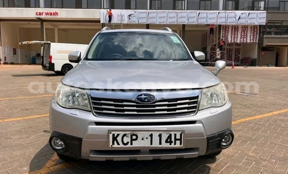 Buy Used Subaru Forester Other Car in Habaswein in Northeast Kenya Buy Used Subaru Forester Other Car in Habaswein in Northeast Kenya