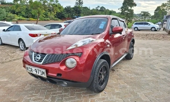Nunua Ilio tumika Nissan Juke Nyekundu Gari ndani ya Habaswein nchini Kaskazini Mashariki mwa Kenya Nunua Ilio tumika Nissan Juke Nyekundu Gari ndani ya Habaswein nchini Kaskazini Mashariki mwa Kenya