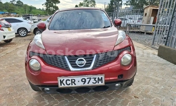 Nunua Ilio tumika Nissan Juke Nyekundu Gari ndani ya Habaswein nchini Kaskazini Mashariki mwa Kenya Nunua Ilio tumika Nissan Juke Nyekundu Gari ndani ya Habaswein nchini Kaskazini Mashariki mwa Kenya