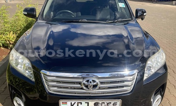 Buy Used Toyota Vanguard Black Car in Bute in Northeast Kenya