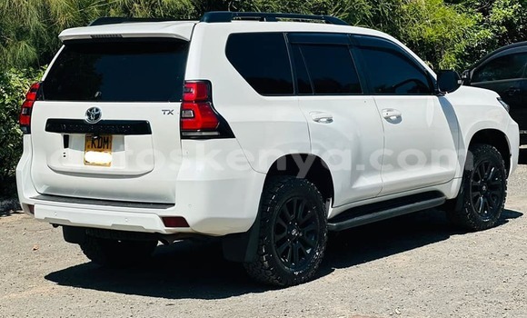 Oofamaa Toyota Prado White Makiinaa iti Bura keessatti Northeast Kenya keessatti Oofamaa Toyota Prado White Makiinaa iti Bura keessatti Northeast Kenya keessatti
